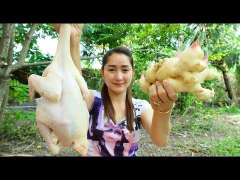 Yummy Chicken Stir Fried Ginger Recipe - Chicken Cooking - Cooking With Sros Video