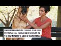 16 tips útiles para que puedas entender mejor a tu amigo peludo 16 tips útiles para que puedas entender mejor a tu amigo peludo