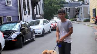 Kris Allen - My Weakness (Music Video)