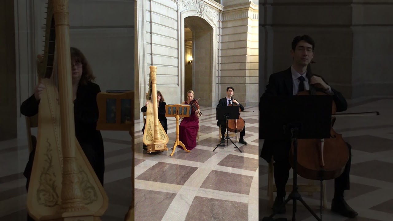 Promotional video thumbnail 4 for Lara Garner, Harpist/Pianist/String Ensemble
