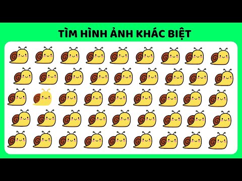 Tìm Hình Ảnh Khác Biệt Hay Nhất |Phát Triển Khả Năng Quan Sát |Nguyễn Thị Lan Anh