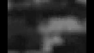 SWALLOWING BILE &#39;SECLUDED&#39; on DIE SONG(Teaser)