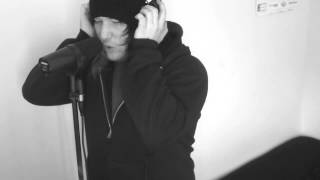 Sky Eats Airplane - Transparent (Vocal Cover)