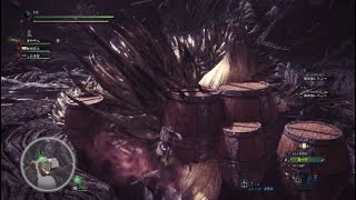 [MHW]これが、サークルリーダーのやり方かあ！♯１０