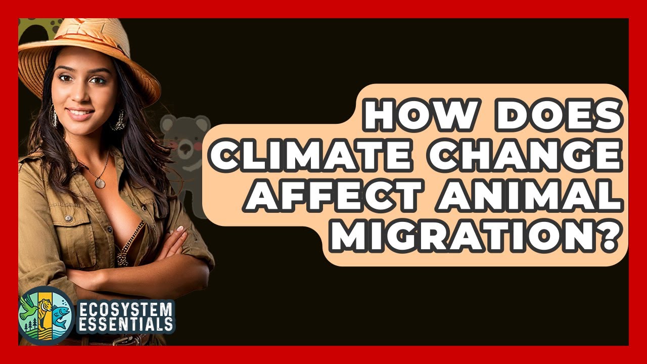 How Does Climate Change Affect Animal Migration? - Ecosystem Essentials