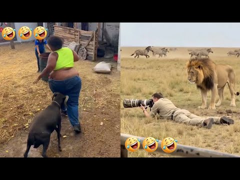 FUNNIEST EPIC FAILS THIS WEEK-Try Not To Laugh Challenge EP 6