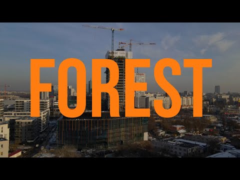 Forest - update styczeń 2021