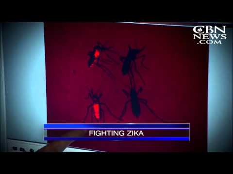 CBN News Minute - March 14, 2016