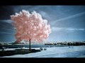 Faithless - Crazy English Summer... - mocsing Faithless - Crazy English Summer...