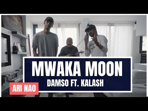 Kalash - Mwaka Moon ft. Damso [VIOLON COVER/REMIX] - ARI NAO