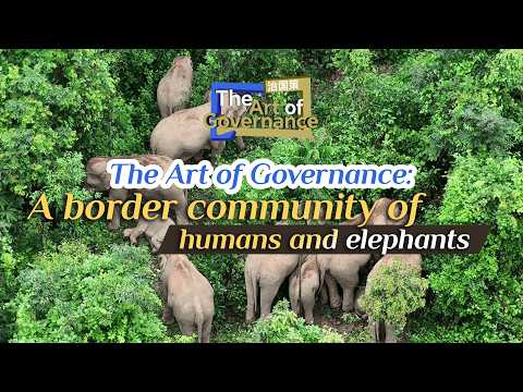 The Art of Governance: A border community of humans and elephants