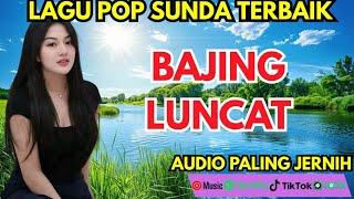 Download lagu LAGU POP SUNDA TERBAIK - BAJING LUNCAT dengan versi baru lebih fresh dan audio pasti jernih  mp3