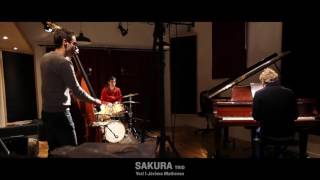 Sakura Trio | Yes!