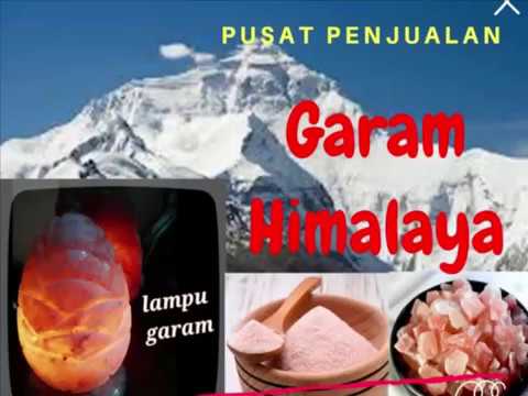 Program pelatihan untuk menurunkan berat badan perempuan dalam gambar Saya tidak dapat menemukan insentif untuk menurunkan berat badan