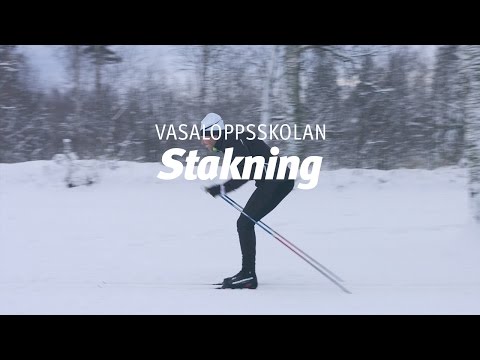 Vasaloppsskolan – Stakning (Träna på snö del 2 av 4)