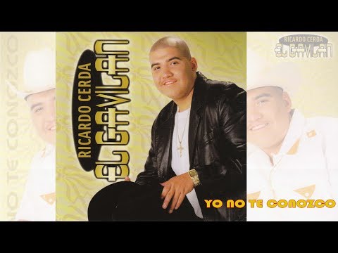 Ricardo Cerda EL GAVILAN   Yo No Te Conozco You've Got Your Fools (Canción Completa)