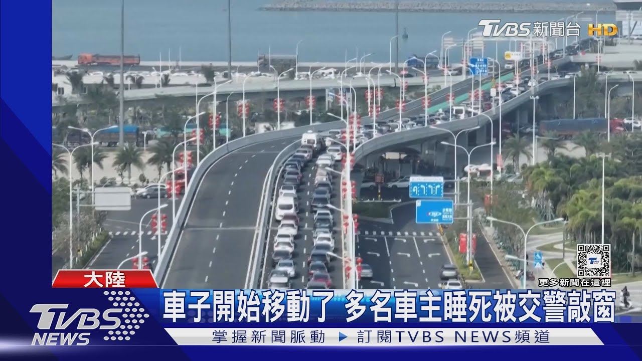 返鄉國道靜止不動!大陸民眾淡定打羽球 狗狗路肩生龍寶寶