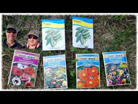 Plantin' The Seed - vlog4 - Day 2