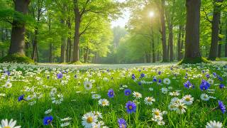 Peaceful Sunrise, Beautiful Relaxing Music, Peaceful Soothing Instrumental Music, by Love YourSelf