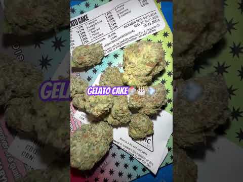 Gelato Cake🍧🎂⛽️🔥 by District Cannabis #420community #stayhigh #cannabiscommunity