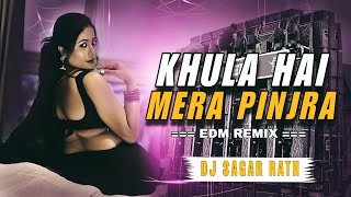 Download lagu KHULA HAI MERA PINJRA REMIX ! DJ SAGAR RATH ! EDM REMIX ! HINDI DANCE DJ REMIX ! JORU KA GULAM mp3