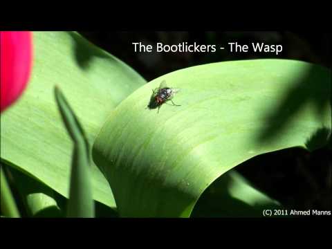 The Bootlickers - The Wasp