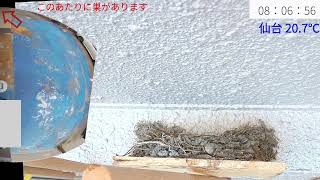 Attach YouTube