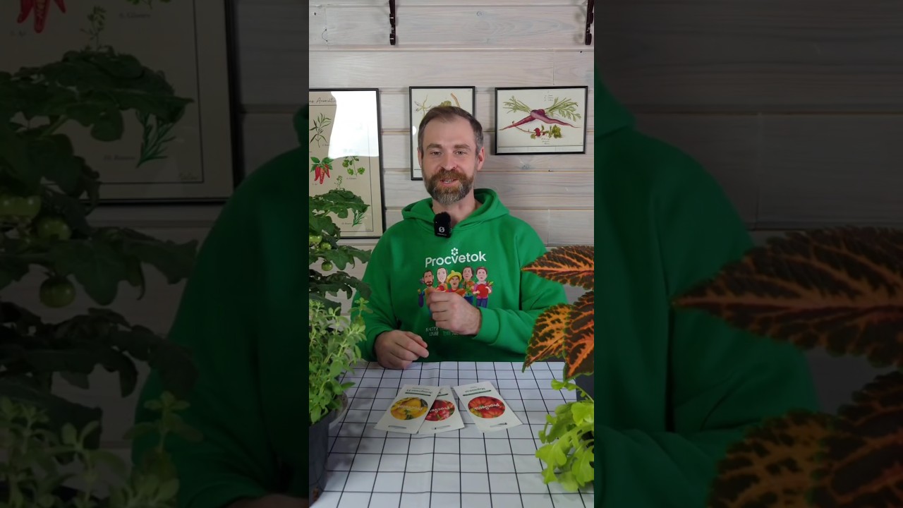 Успейте посеять на рассаду в феврале! Перцы, баклажаны, лук и много чего ещё