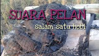 Download lagu Suara burung pelan jitu baru mp3