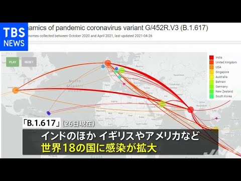 コロナウイルスの変異:研究者らが待望の全容を解明