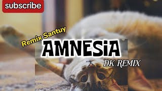 Download lagu Amnesia - Remix Santuy (DK Remix) mp3