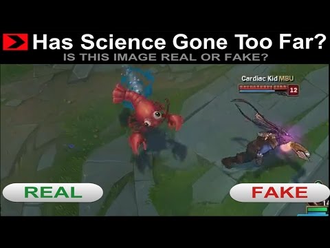 FateFalls | I take Zed to the Zoo.. and get lost [Fizz vs Zed]