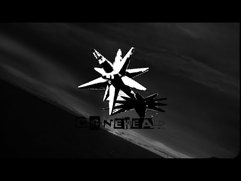 CONEHEAD | Soli Bailey | O'Neill