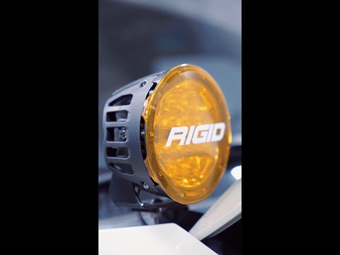 The Best Raptor Lighting! 💡