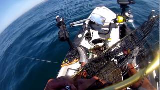 preview picture of video 'Kayak fishing for Santa Cruz Halibut'