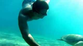 preview picture of video 'Swimming with turtle-Zakynthos 2014'