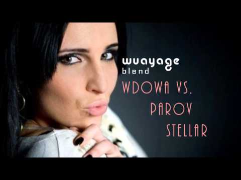 Wdowa vs. Parov Stelar - Cholera tak (wuayage blend)