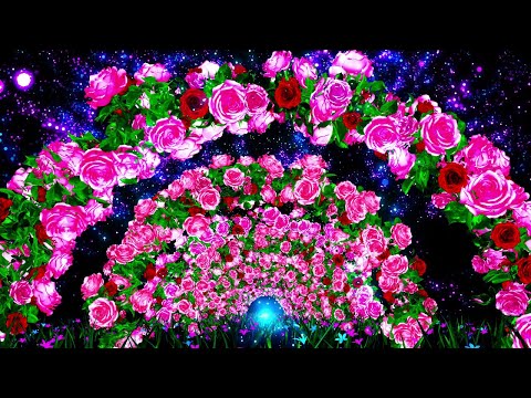 4K Screensaver | Romantic Rose Flower Gate – Beautiful Fantasy VJ Loop | 8 Hours (No Sound)
