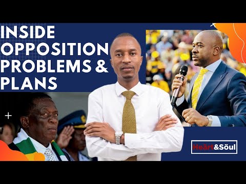Inside Opposition Problems and Plans