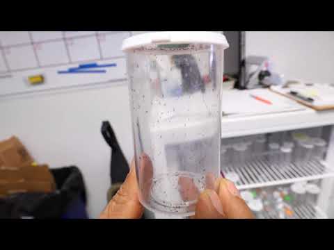 Citrus Research Board Joint Agency Biological Control Task Force - 2017 IPM Award Winner