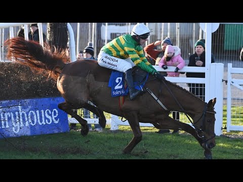 Dinoblue survives major scare at last to justify odds-on favouritism | Racing TV