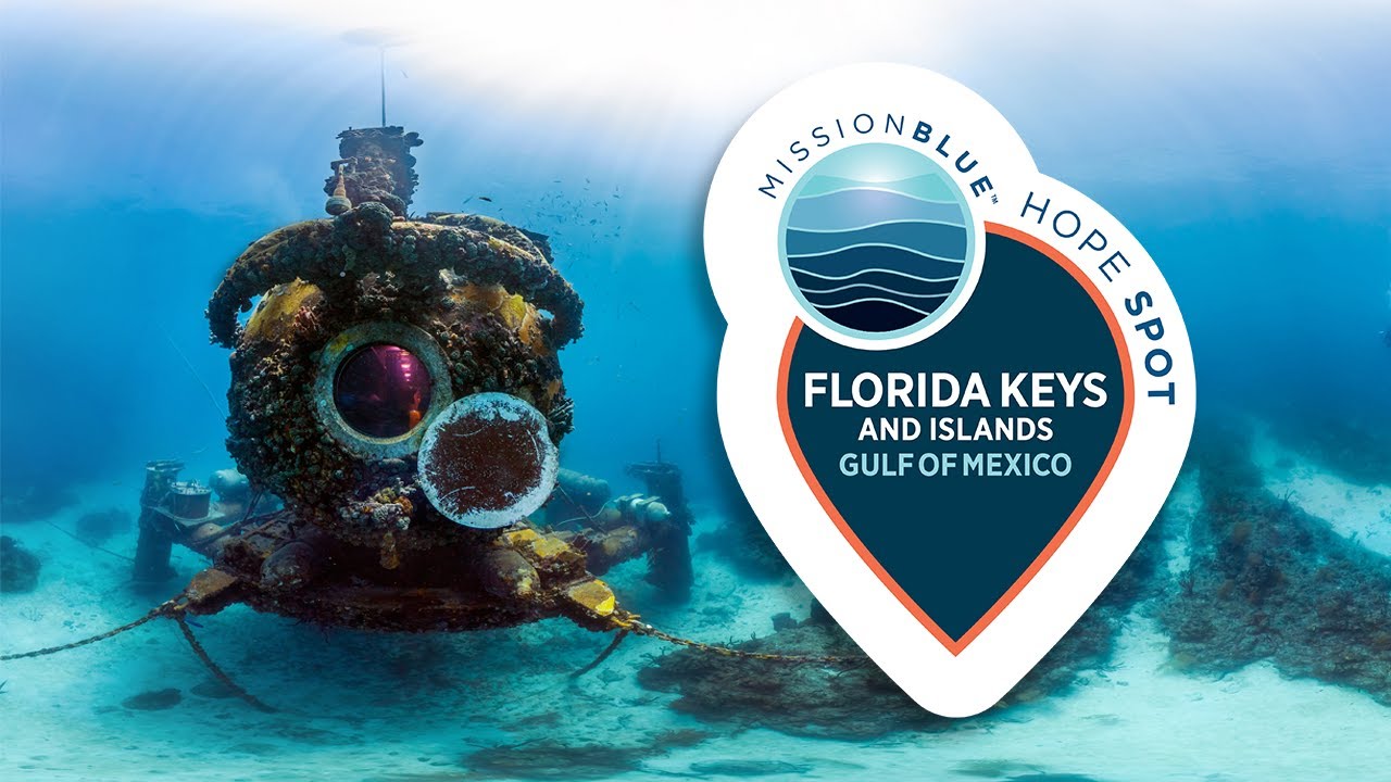 FIU team ups with world-renowned marine conservationist to spotlight South Florida's coastal ecosystems - Vimarsana News