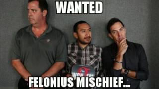 Brandmeier Just Having Fun- Walking on The Sun