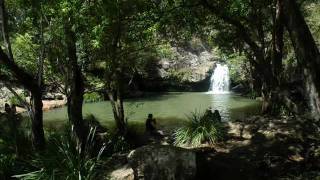 preview picture of video 'Kondalilla Falls by Montville Grove accommodation'