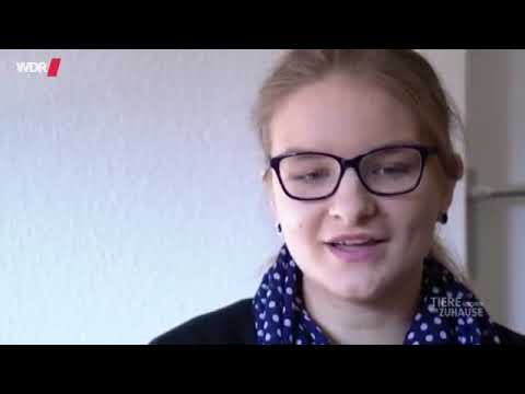 Können Katzen uns Menschen lieben? | WDR