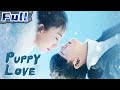 Puppy Love | Romance | China Movie Channel ENGLISH | ENGSUB