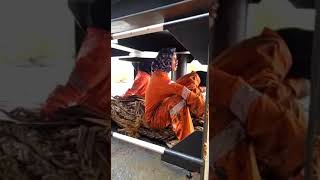 Download lagu video lucu Siapa suruh jadi pelaut mp3