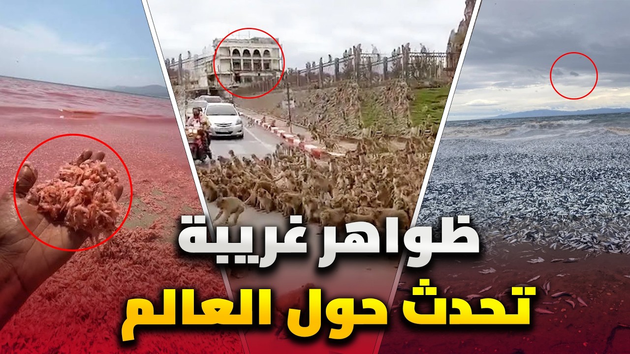 أشياء غريبة ومرعبة تحدث في جميع أنحاء العالم | لا أحد يعرف السبب حتى الأن