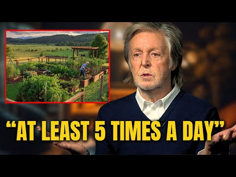 Paul McCartney Is Almost 83, His Weird Daily Creative Ritual Will Amaze You