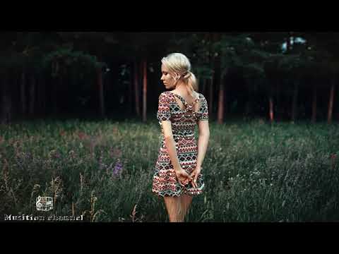 Bizaro - Dendy | 2019